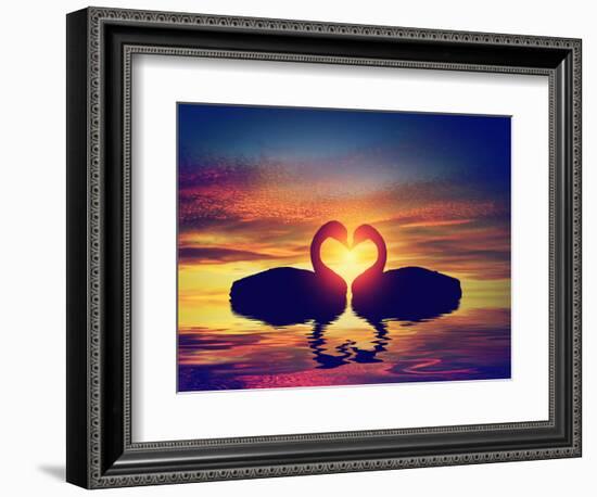 Two Swans Making a Heart Shape at Sunset. Valentine's Day Romantic Concept-Michal Bednarek-Framed Photographic Print