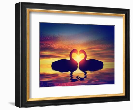 Two Swans Making a Heart Shape at Sunset. Valentine's Day Romantic Concept-Michal Bednarek-Framed Photographic Print