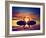 Two Swans Making a Heart Shape at Sunset. Valentine's Day Romantic Concept-Michal Bednarek-Framed Photographic Print