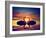 Two Swans Making a Heart Shape at Sunset. Valentine's Day Romantic Concept-Michal Bednarek-Framed Photographic Print