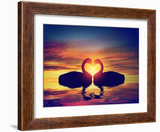 Two Swans Making a Heart Shape at Sunset. Valentine's Day Romantic Concept-Michal Bednarek-Framed Photographic Print