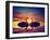 Two Swans Making a Heart Shape at Sunset. Valentine's Day Romantic Concept-Michal Bednarek-Framed Photographic Print