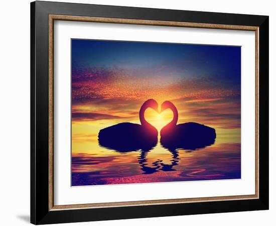 Two Swans Making a Heart Shape at Sunset. Valentine's Day Romantic Concept-Michal Bednarek-Framed Photographic Print