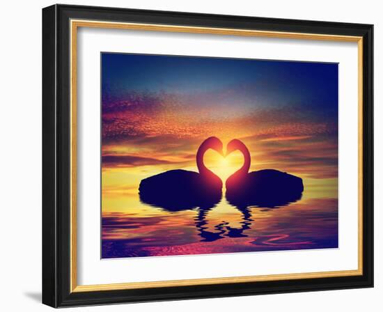 Two Swans Making a Heart Shape at Sunset. Valentine's Day Romantic Concept-Michal Bednarek-Framed Photographic Print