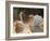 Two Swans on Water-Robert Harding-Framed Photographic Print