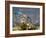 Two Swans Swim on a Pond in Richmond Park on a Sunny Morning-Alex Saberi-Framed Photographic Print