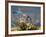 Two Swans Swim on a Pond in Richmond Park on a Sunny Morning-Alex Saberi-Framed Photographic Print