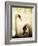 Two Swans Swimming on Lake-Clive Nolan-Framed Photographic Print