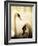 Two Swans Swimming on Lake-Clive Nolan-Framed Photographic Print