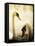 Two Swans Swimming on Lake-Clive Nolan-Framed Premier Image Canvas