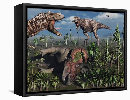 Two T. Rex Dinosaurs Confront Each Other over a Dead Triceratops-Stocktrek Images-Framed Premier Image Canvas