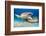 two tawny nurse sharks on seabed at dusk, maldives-alex mustard-Framed Photographic Print