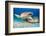 two tawny nurse sharks on seabed at dusk, maldives-alex mustard-Framed Photographic Print