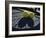 Two Tennis Balls-null-Framed Photographic Print