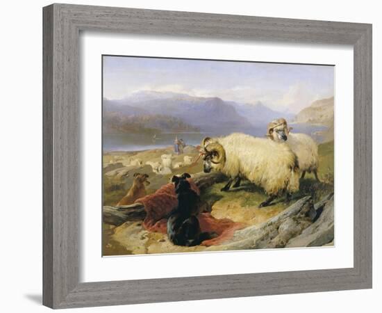 Two Tethered Rams with Coiled Horns Guarded by Two Sheep Dogs in a Mountain Landscape, 19th Century-Edwin Henry Landseer-Framed Giclee Print