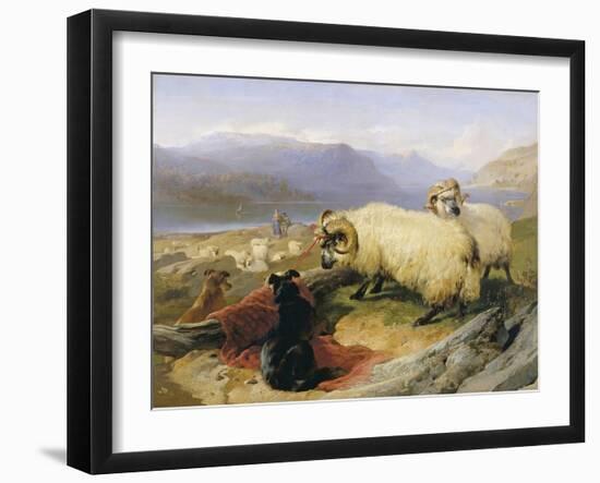 Two Tethered Rams with Coiled Horns Guarded by Two Sheep Dogs in a Mountain Landscape, 19th Century-Edwin Henry Landseer-Framed Giclee Print