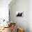 Two Timid Looking Black Scottie Puppies-Thomas Fall-Mounted Photographic Print displayed on a wall