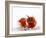 Two Tomatoes Surrounded with Water-Michael Löffler-Framed Photographic Print