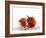 Two Tomatoes Surrounded with Water-Michael Löffler-Framed Photographic Print