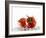 Two Tomatoes Surrounded with Water-Michael Löffler-Framed Photographic Print