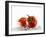 Two Tomatoes Surrounded with Water-Michael Löffler-Framed Photographic Print