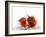 Two Tomatoes Surrounded with Water-Michael Löffler-Framed Photographic Print