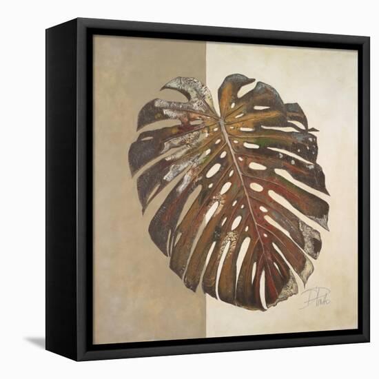 Two Tone Balazo II-Patricia Pinto-Framed Stretched Canvas