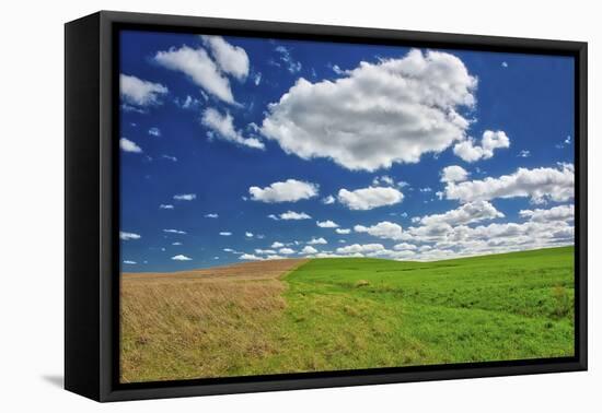 Two toned hill in the Flint Hills of Kansas-Michael Scheufler-Framed Premier Image Canvas