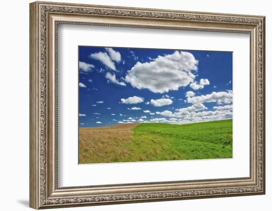 Two toned hill in the Flint Hills of Kansas-Michael Scheufler-Framed Photographic Print