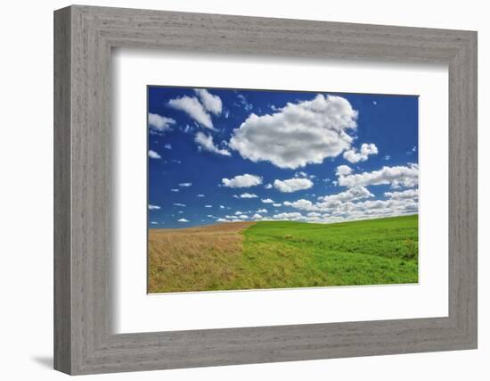 Two toned hill in the Flint Hills of Kansas-Michael Scheufler-Framed Photographic Print