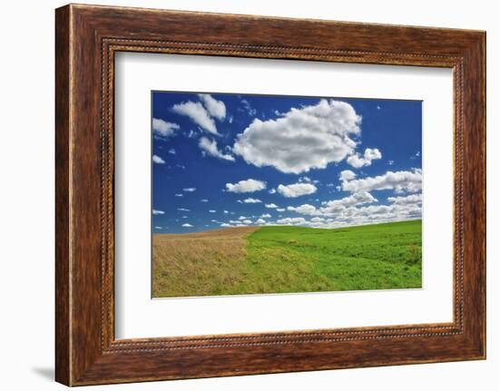 Two toned hill in the Flint Hills of Kansas-Michael Scheufler-Framed Photographic Print