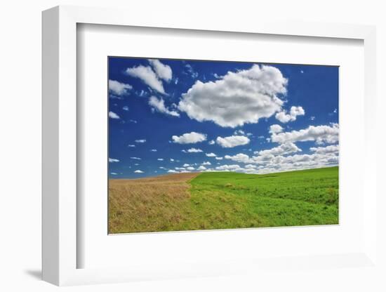 Two toned hill in the Flint Hills of Kansas-Michael Scheufler-Framed Photographic Print