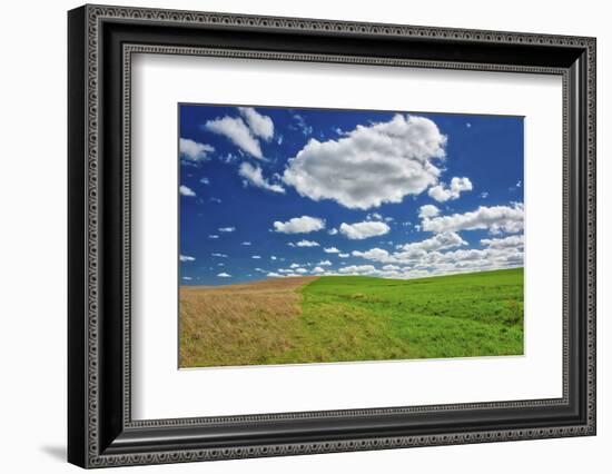 Two toned hill in the Flint Hills of Kansas-Michael Scheufler-Framed Photographic Print