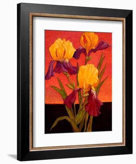 Two Toned Irises-John Newcomb-Framed Giclee Print