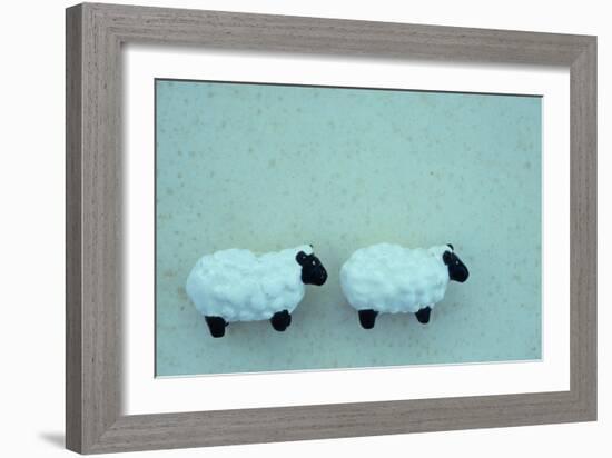 Two Toy Sheep-Den Reader-Framed Photographic Print