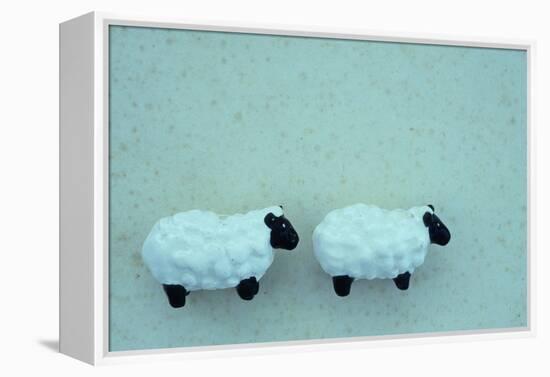 Two Toy Sheep-Den Reader-Framed Premier Image Canvas