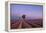 Two trees at the end of a lavender field at dusk, Plateau de Valensole, Provence, France-Francesco Fanti-Framed Premier Image Canvas