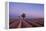 Two trees at the end of a lavender field at dusk, Plateau de Valensole, Provence, France-Francesco Fanti-Framed Premier Image Canvas