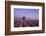 Two trees at the end of a lavender field at dusk, Plateau de Valensole, Provence, France-Francesco Fanti-Framed Photographic Print