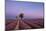 Two trees at the end of a lavender field at dusk, Plateau de Valensole, Provence, France-Francesco Fanti-Mounted Photographic Print