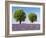 Two Trees in a Lavender Field, Provence, France-Nadia Isakova-Framed Photographic Print