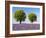 Two Trees in a Lavender Field, Provence, France-Nadia Isakova-Framed Photographic Print