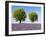 Two Trees in a Lavender Field, Provence, France-Nadia Isakova-Framed Photographic Print