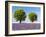 Two Trees in a Lavender Field, Provence, France-Nadia Isakova-Framed Photographic Print