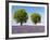 Two Trees in a Lavender Field, Provence, France-Nadia Isakova-Framed Photographic Print