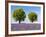 Two Trees in a Lavender Field, Provence, France-Nadia Isakova-Framed Photographic Print