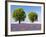 Two Trees in a Lavender Field, Provence, France-Nadia Isakova-Framed Photographic Print