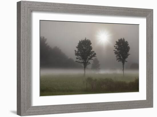 Two Trees & Sunburst, Logan, Ohio ‘10-Monte Nagler-Framed Photographic Print