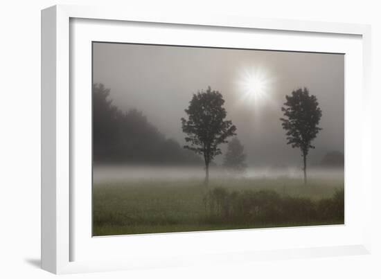 Two Trees & Sunburst, Logan, Ohio ‘10-Monte Nagler-Framed Photographic Print