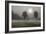 Two Trees & Sunburst, Logan, Ohio ‘10-Monte Nagler-Framed Photographic Print